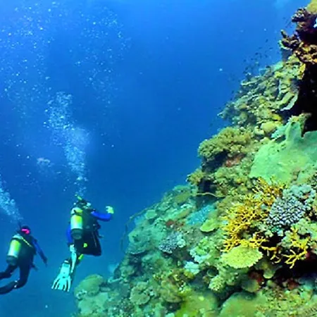 Luxury Heated Pool, Walk To Sao Rafael Beach, Villa