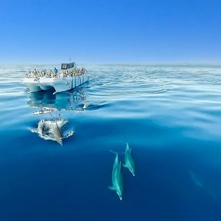 Luxury Heated Pool, Walk To Sao Rafael Beach, Villa